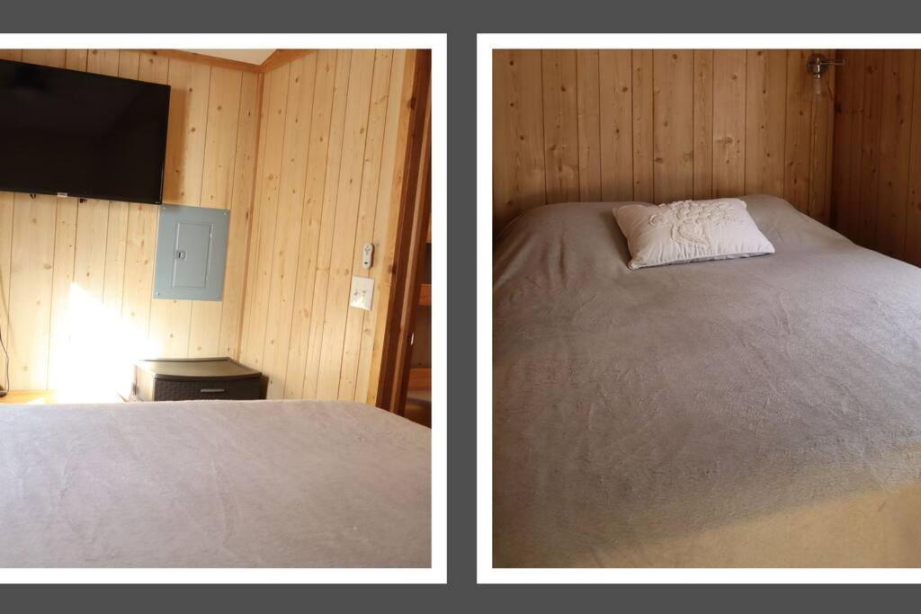 Driftwood Cabin - 2Nd Street Steinhatchee ภายนอก รูปภาพ